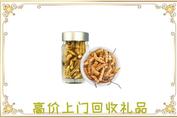 东营周边回收虫草